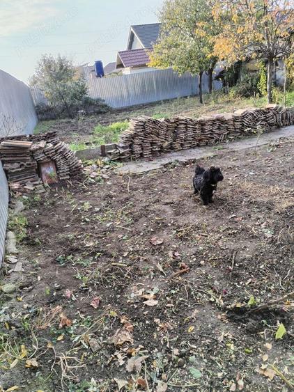 Teren de 335 mp, în Gai