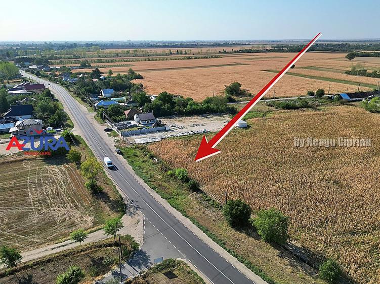 Teren Construcții intravilan de 7976 mp, în Crângurile