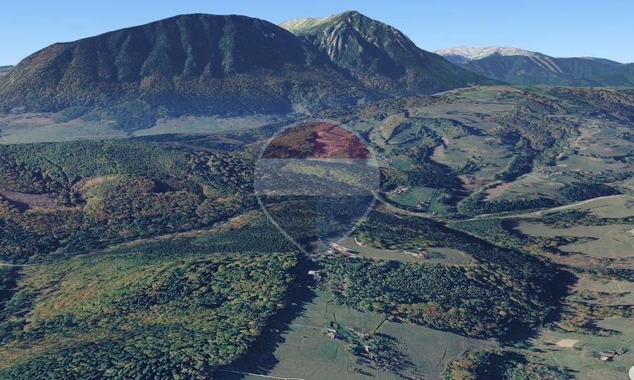 Teren agricol extravilan de 23495 mp, în Poiana Mărului