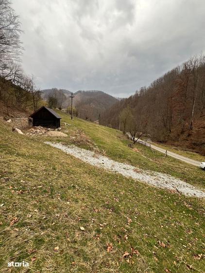 Teren de 12877 mp, în Bulz