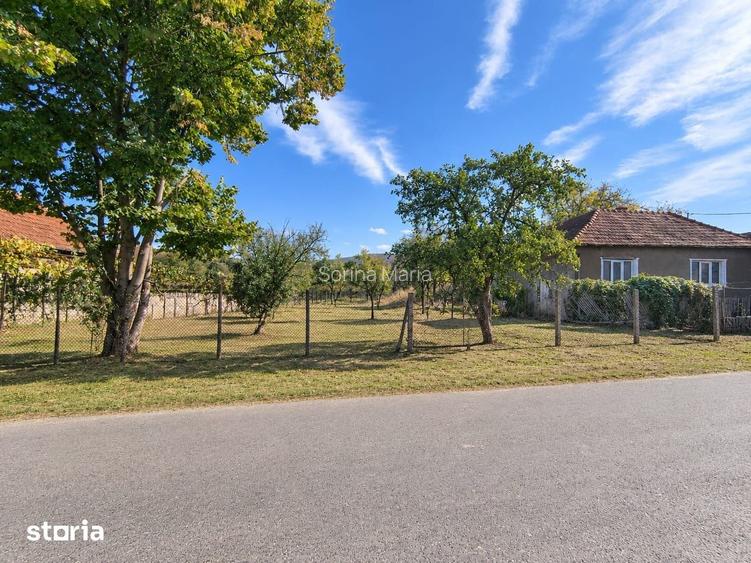 TEREN DE VANZARE IN CUZAP