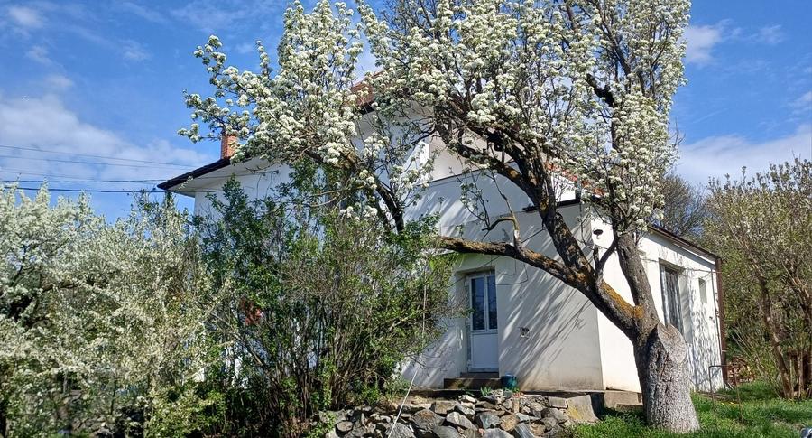Casă cu 2 camere decomandat în Viile Sibiului