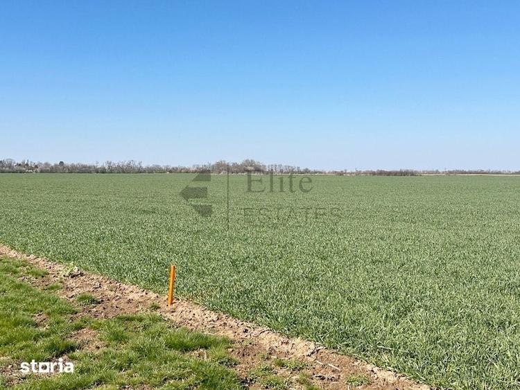 Teren 20.141 mp de vanzare in zona Aeroportului Oradea - 9
