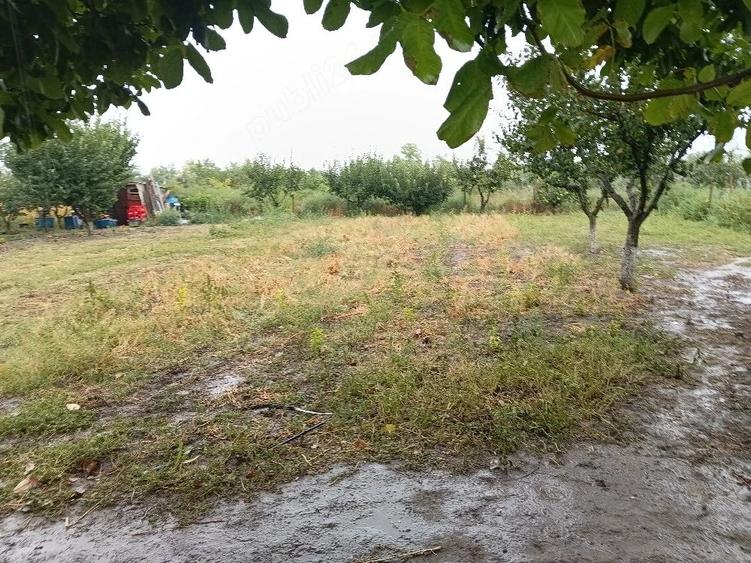 Teren de 1000 mp, în Gheorghe Lazăr
