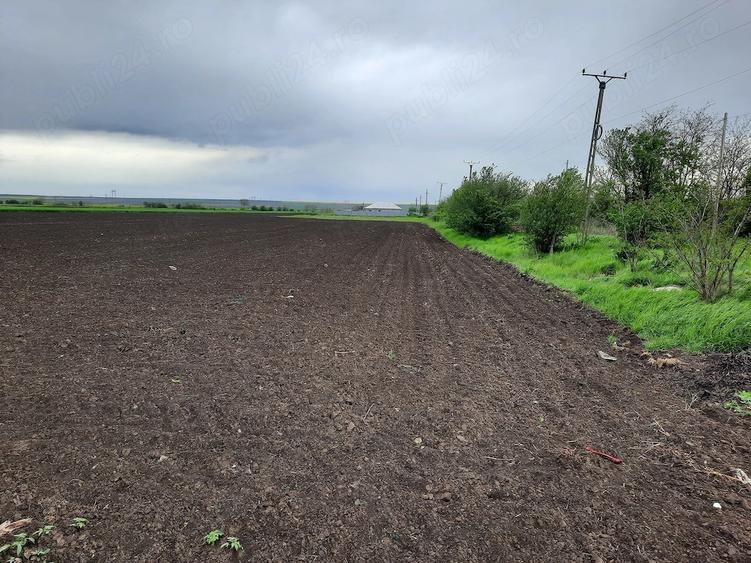 Vand teren intravilan (4500mp) comuna TUDOR VLADIMIRESCU, jud. Galati - 1