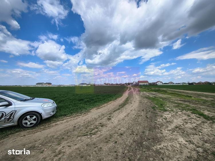 Teren de 12450 mp, în Cernica