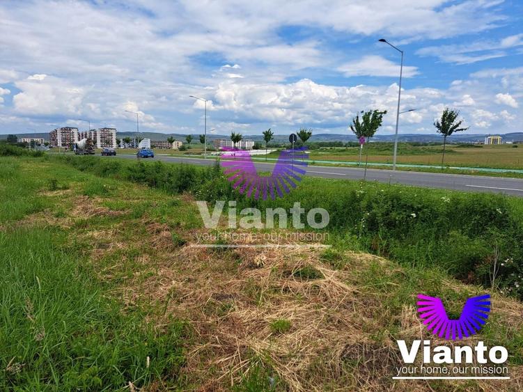 Teren Construcții intravilan de 9000 mp, în Turnișor