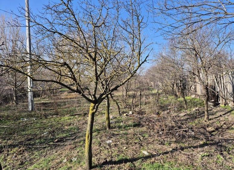 Casă în Brâncoveanca