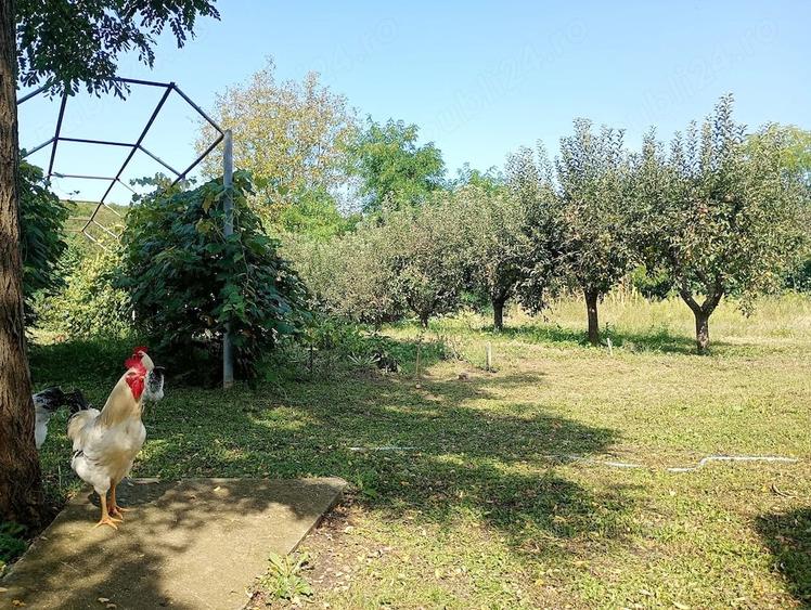 Garsonieră decomandată în Titan