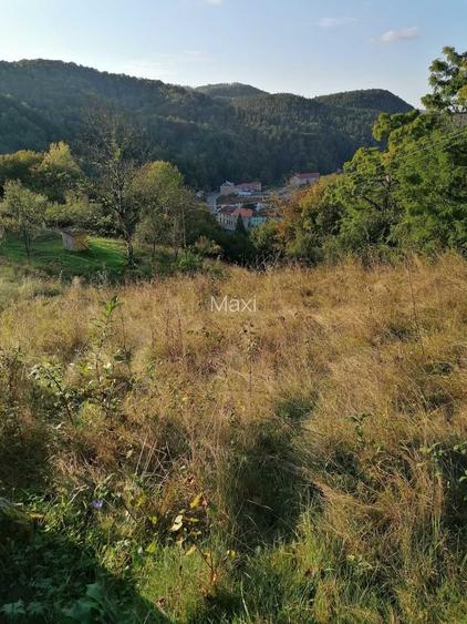 2 terenuri intravilane in localitatea Nadrag Timis - cu view