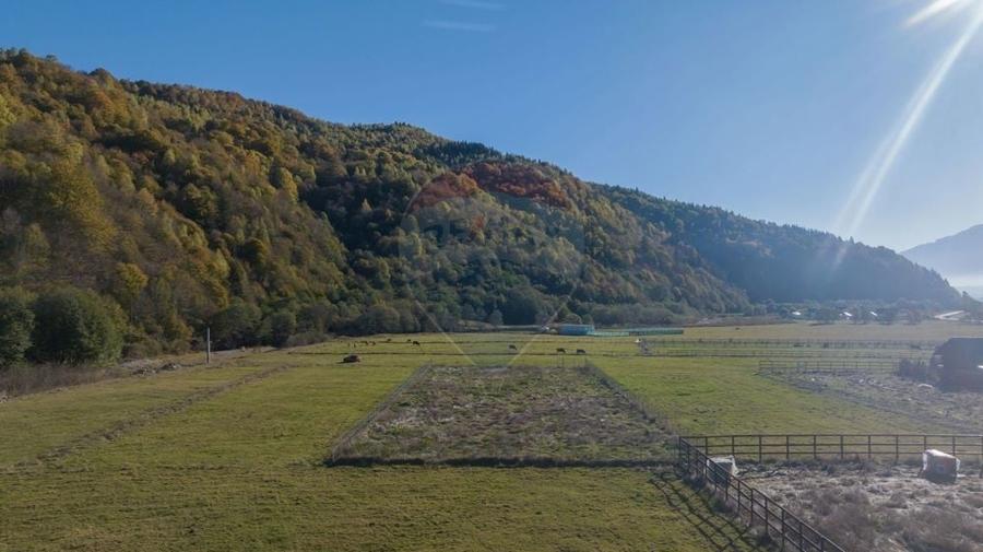 Teren de 2100 mp, în Plaiul Foii