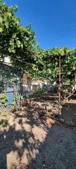 Casă individuală cu 3 camere cu Canalizare în Boian