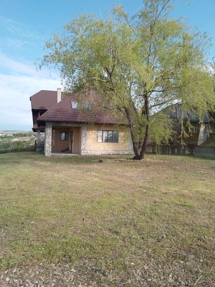 Casa de vanzare Demisol+P+1E+M,Teren 4000 mp - 4