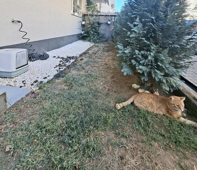 Apartament cu 2 camere decomandat în Berceni
