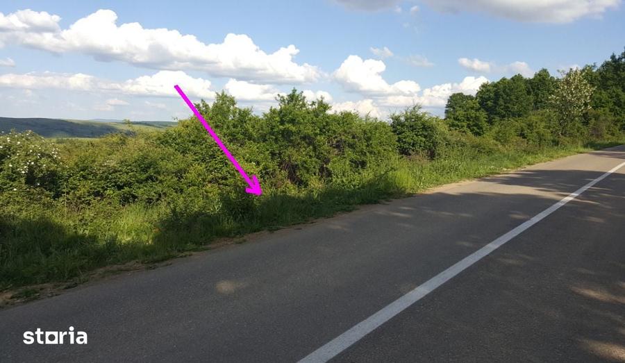 Teren de 800 mp, în Paleu