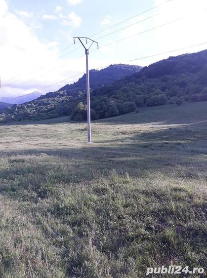 Teren de 10000 mp, în Cheia
