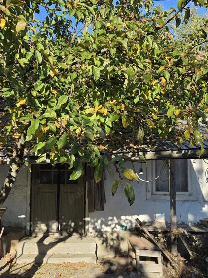 Casă cu 2 camere cu Teren 3500 Mp în Crasna