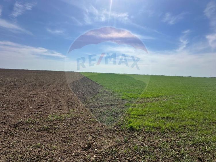 Teren Construcții intravilan de 138104 mp, în Dragomirești-Vale