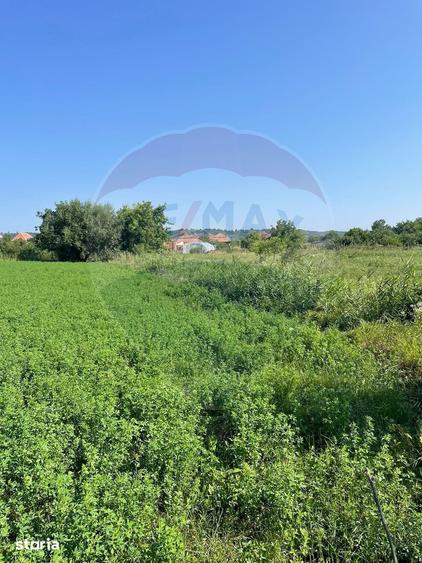 Teren de 1270 mp, în Central