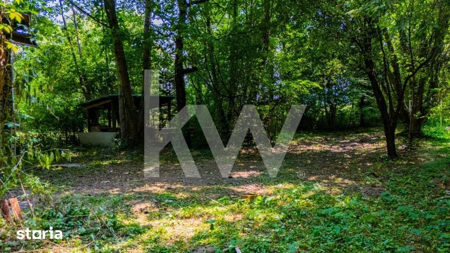 Teren intravilan 1173 mp cu utilitati si cabana in Predelut, Bran - 1