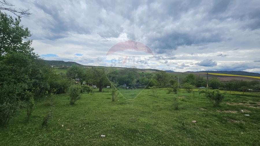 Teren Construcții intravilan de 5350 mp, în Dobreni