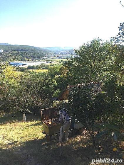 Teren de 700 mp, în Grigorescu