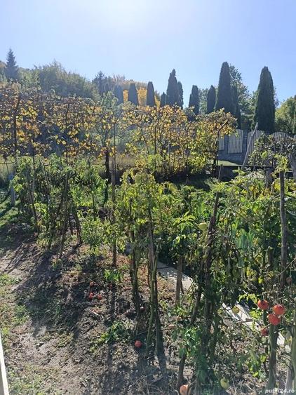 Casă cu 5 camere cu Teren 700 Mp în Goranu