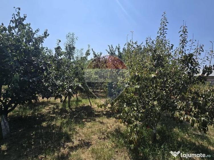 DE VANZARE Casa cu livada langa Lacul Facau 30 min ... - 5