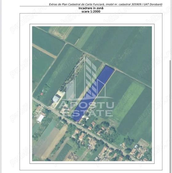 Teren Construcții intravilan de 5443 mp, în Dorobanți