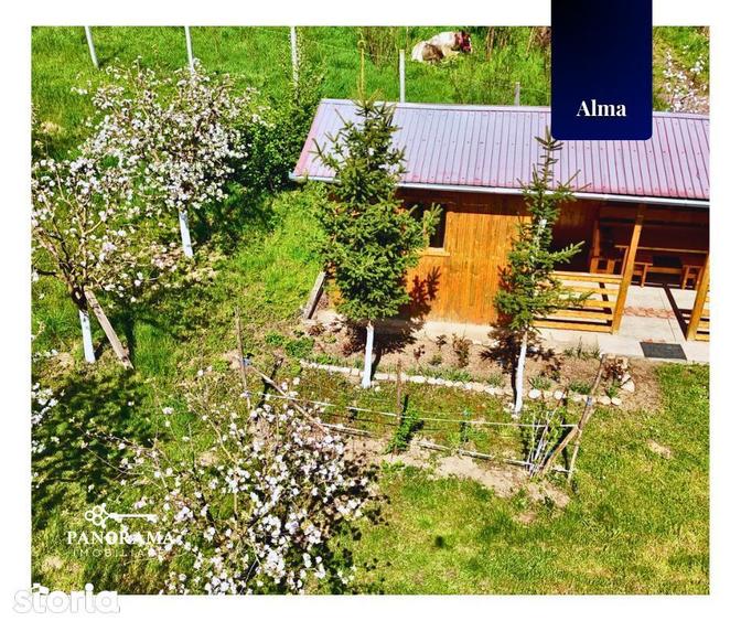 Teren Intravilan cu cabana in satul transilvanean Alma - 2