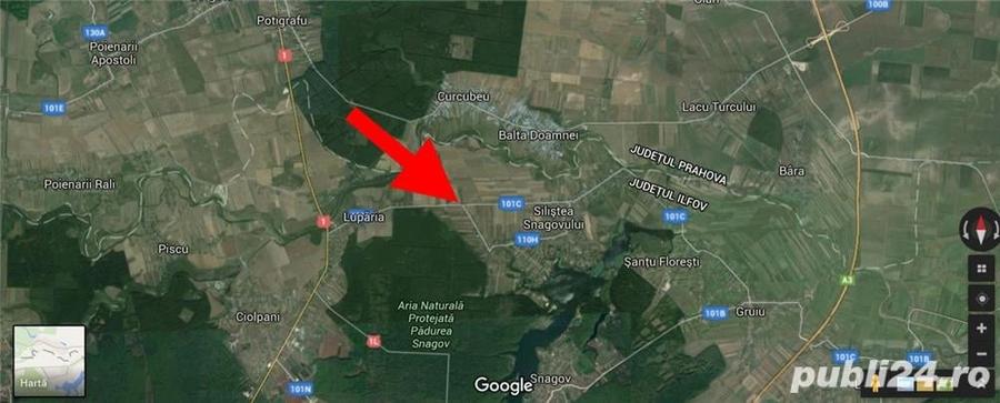 3660 metri teren in Ciolpani, Silistea Snagovului, Ilfov - 2