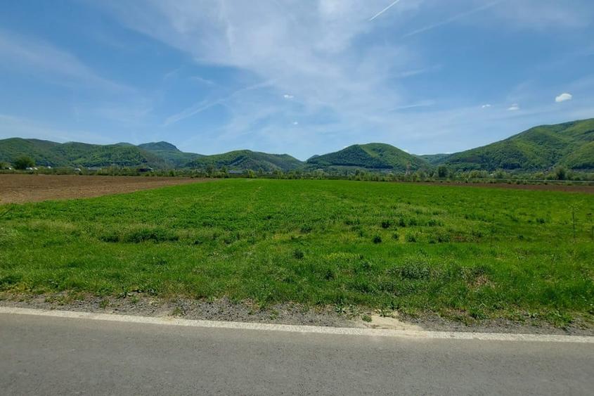 Teren agricol extravilan de 4021 mp, în Brănișca