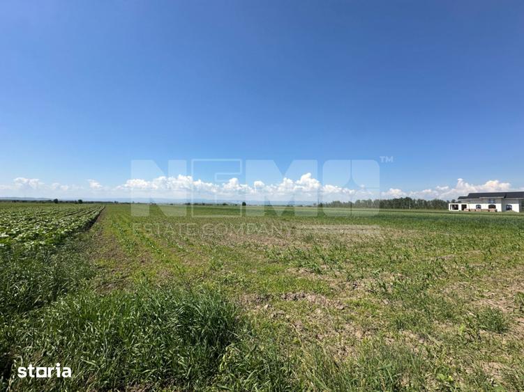 Teren de 5300 mp, în Frătăuții Vechi