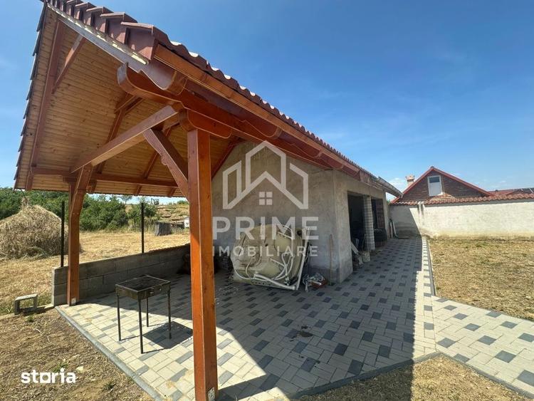 Casă cu 6 camere cu Teren 3100 Mp în Sebeș