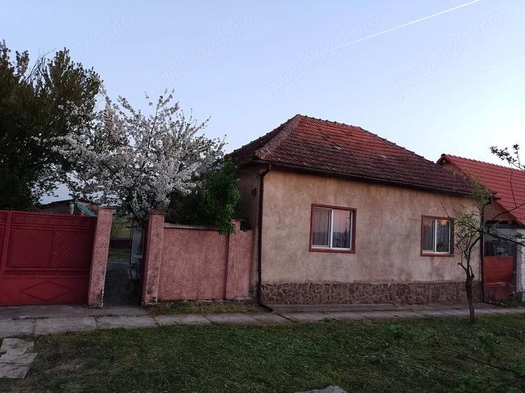 Casă cu Teren 1200 Mp în Bocsig