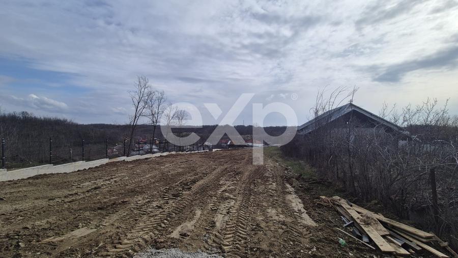 Teren Construcții intravilan de 1500 mp, în Albota