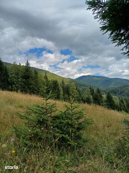 Teren de 15000 mp, în Uric