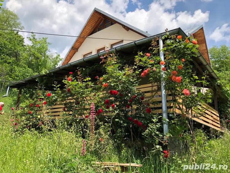 Casă cu 7 camere în Drajna