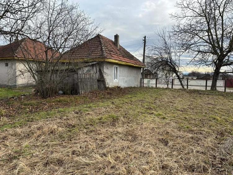 Casă cu Teren 4000 Mp în Sălbăgelu Nou