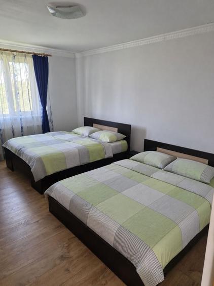 Casă cu 4 camere cu Teren 600 Mp în Bâcu