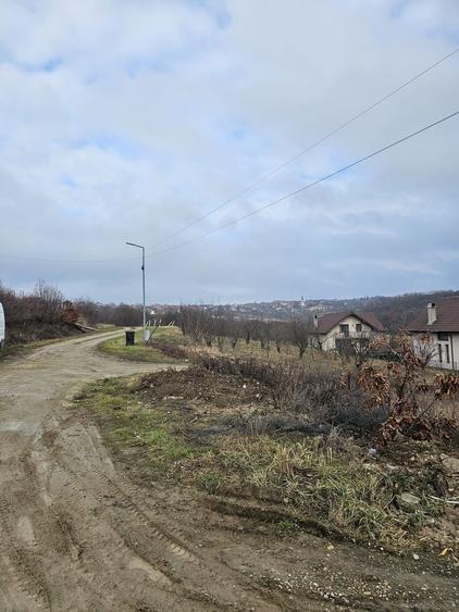 Teren Construcții intravilan de 900 mp, în Săldăbagiu de Munte