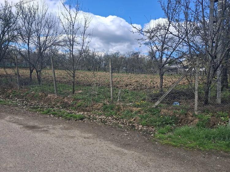 Teren de 2800 mp, în Horodnic
