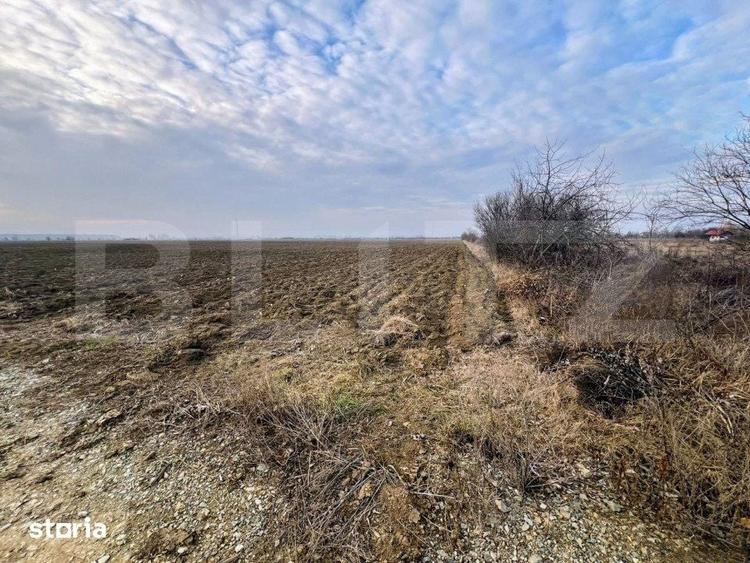 Teren de 5000 mp, în Central