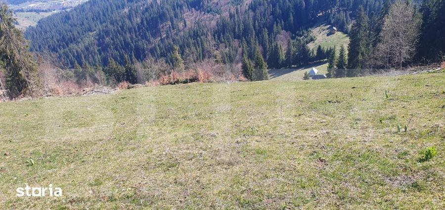 Teren de 206189 mp, în Central