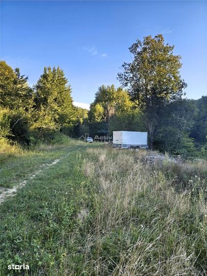 Teren intravilan de vanzare in padure Cisnadioara - 16