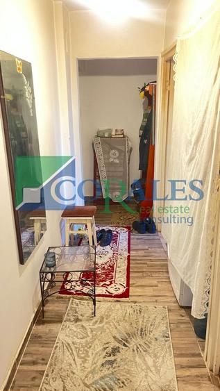 Apartament cu 2 camere nedecomandat în Șagului