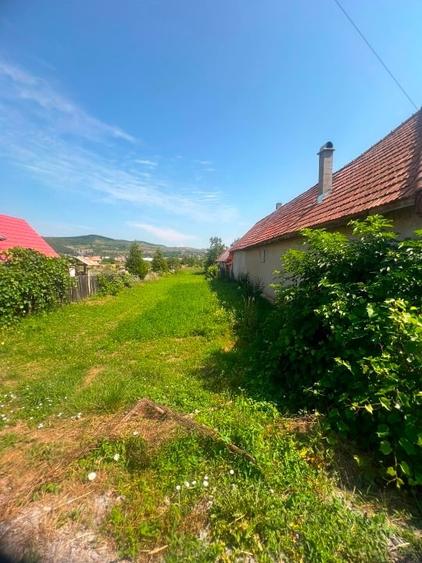 Teren Construcții intravilan de 147500 mp, în Central
