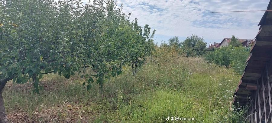 Casă cu Teren 3000 Mp în Drăguțești