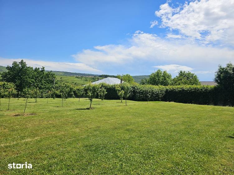 VILA RUSTICA 180 MP TEREN 3000 MP LIVADA HELESTEU IASI TUDOR NECULAI - 3