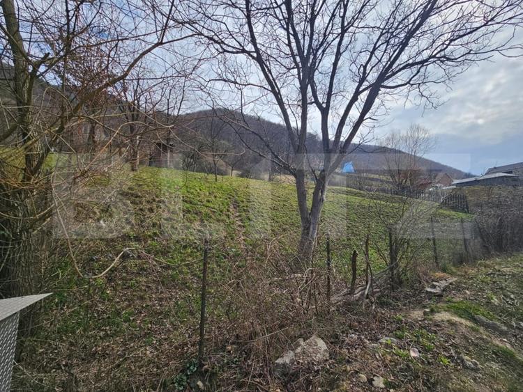 Teren Construcții intravilan de 4000 mp, în Cugir